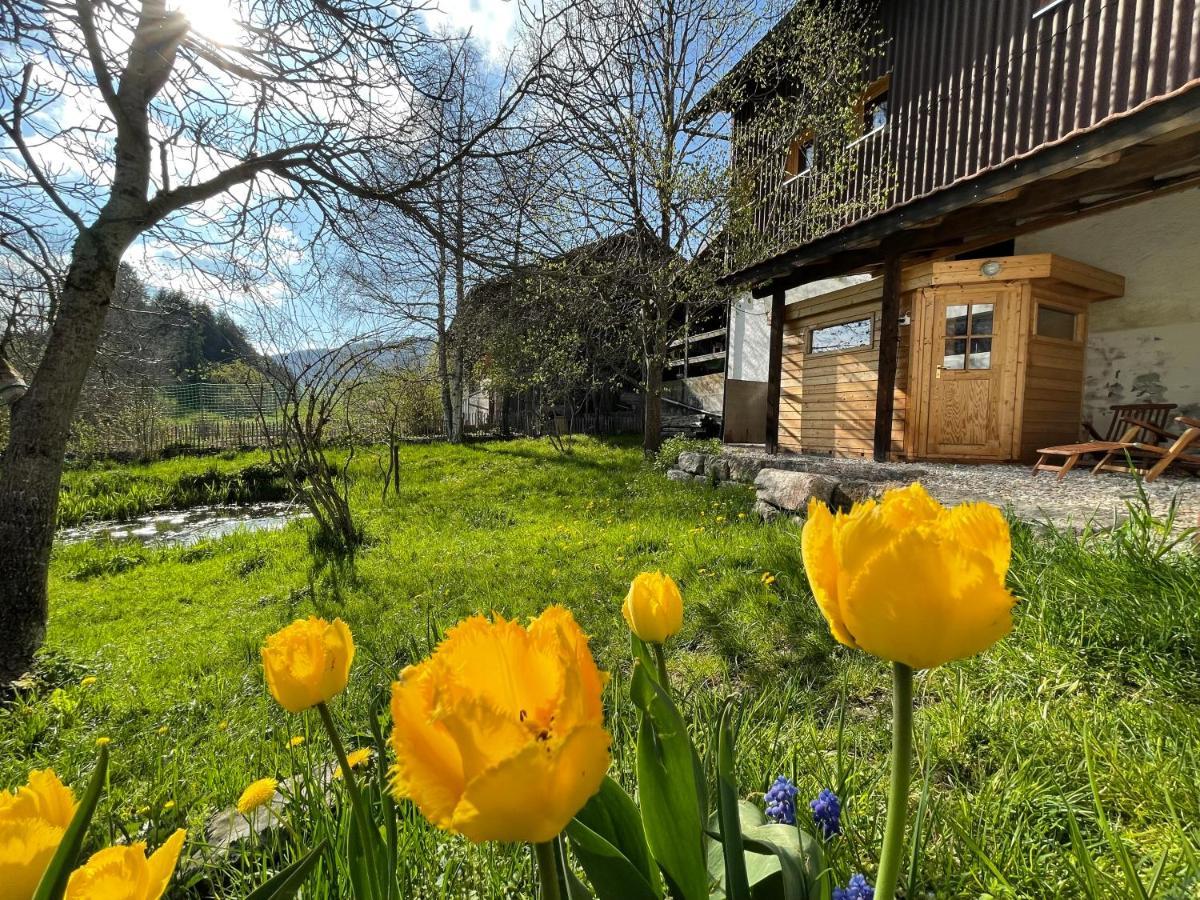 Miramont Horse Trekking Hostel Saicourt エクステリア 写真